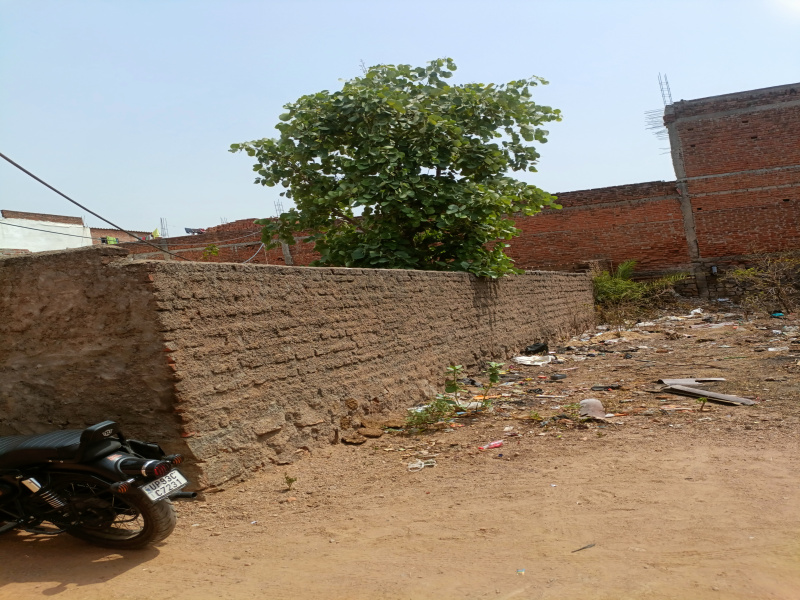  Residential Plot 1200 Sq.ft. for Sale in Bara Bazar, Jhansi