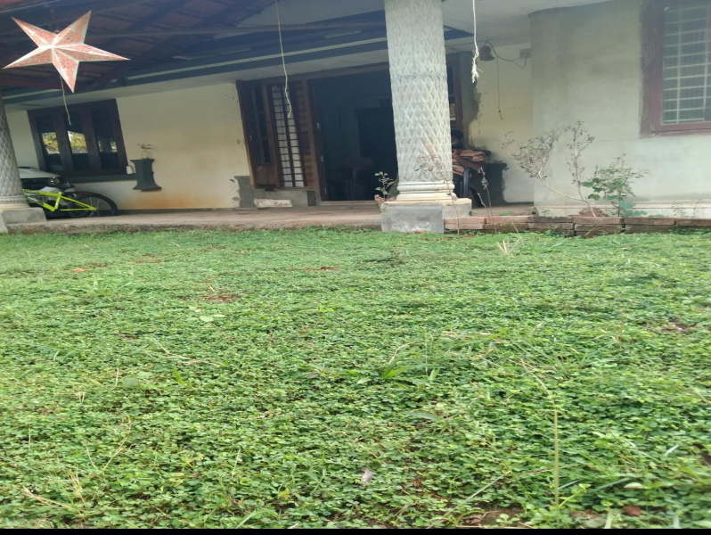  Residential Plot 1500 Sq.ft. for Sale in Vadackal, Alappuzha