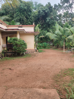 2 BHK House for Sale in Muthukulam, Alappuzha