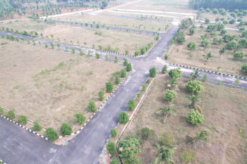  Commercial Land for Sale in Bhogapuram, Visakhapatnam