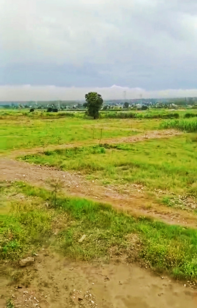  Commercial Land 71 Sq. Yards for Sale in Selaqui, Dehradun