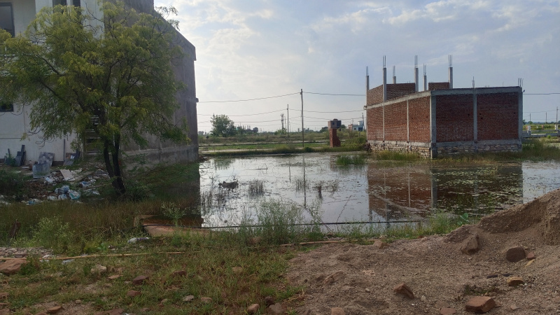  800 Sq.ft. Residential Plot for Sale in Pinto Park, Gwalior