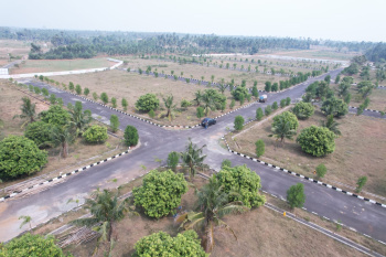 Residential Plot for Sale in Bhogapuram, Visakhapatnam