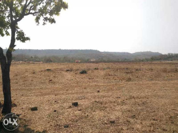  Agricultural Land for Sale in Kayavarohan, Vadodara