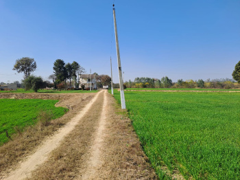 Agricultural Land for Sale in Padra, Vadodara