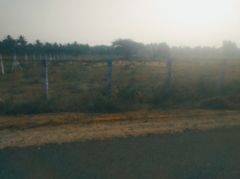  Residential Plot for Sale in Karamadai, Coimbatore