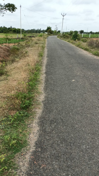  Agricultural Land for Sale in Annur, Coimbatore