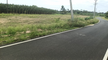  Agricultural Land for Sale in Karuvalur, Coimbatore