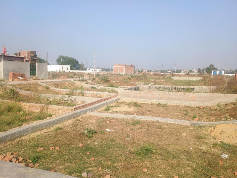  Residential Plot 1200 Sq.ft. for Sale in Rajgir, Nalanda