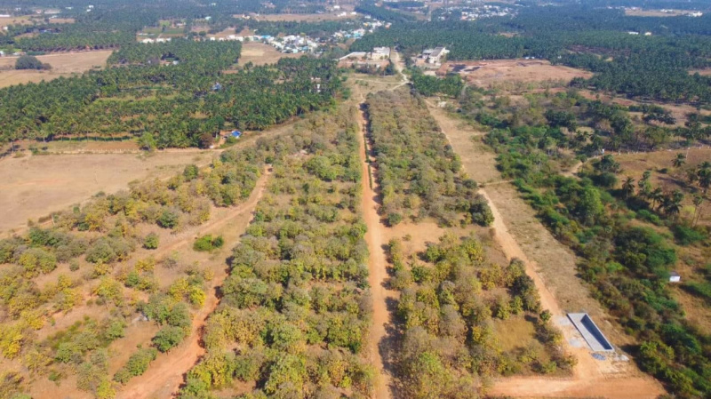  4800 Sq.ft. Residential Plot for Sale in Goundan Palayam, Coimbatore