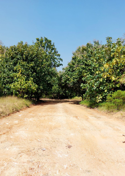  4800 Sq.ft. Residential Plot for Sale in Goundan Palayam, Coimbatore
