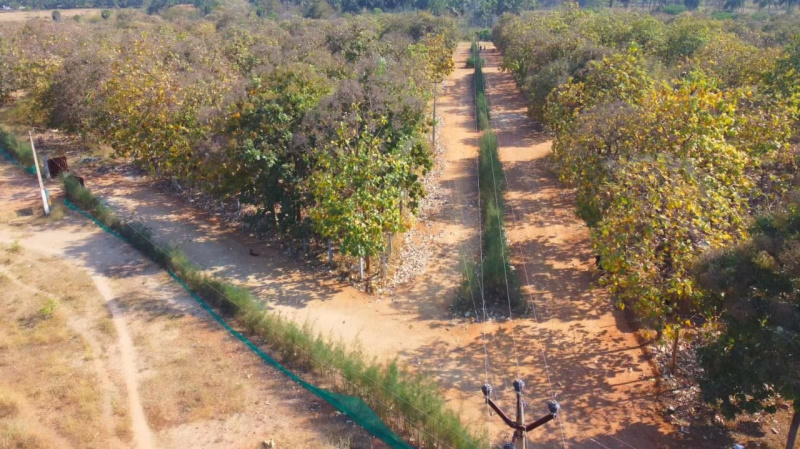  4800 Sq.ft. Residential Plot for Sale in Goundan Palayam, Coimbatore