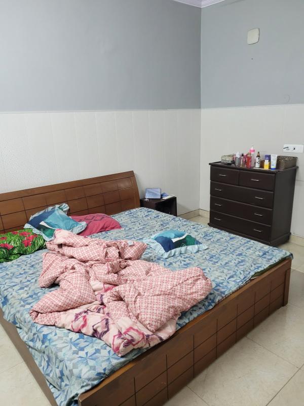 1 BHK Builder Floor 600 Sq.ft. for Rent in Block DP, Pitampura, Delhi