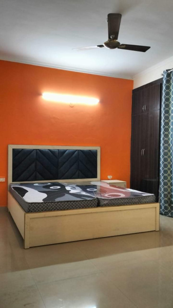 3 BHK Builder Floor 600 Sq.ft. for Rent in Sector 8 Rohini, Delhi