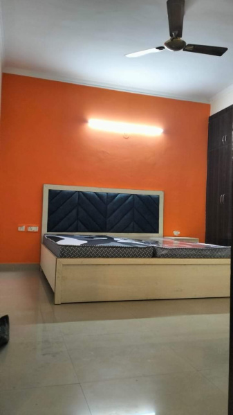 3 BHK Builder Floor 600 Sq.ft. for Rent in Sector 8 Rohini, Delhi