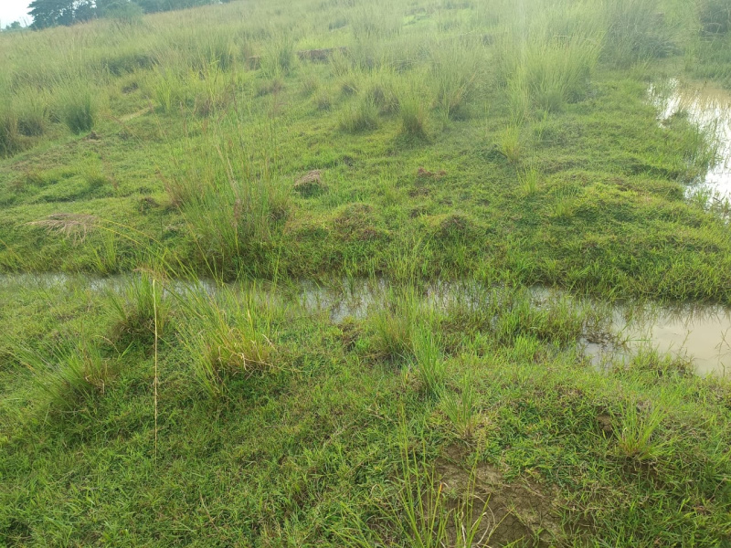  Factory 3 Acre for Rent in Rasulgarh, Bhubaneswar