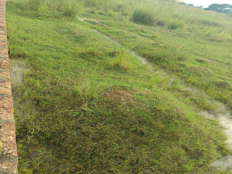  Factory 3 Acre for Rent in Rasulgarh, Bhubaneswar