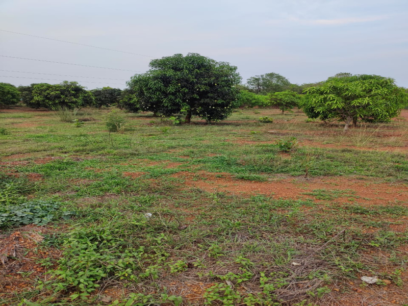  Commercial Land 10 Acre for Rent in Jankia, Khordha