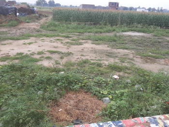  Residential Plot for Sale in Etah Chungi, Aligarh