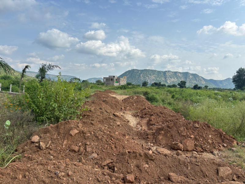  Residential Plot 19 Bigha for Sale in Sariska, Alwar