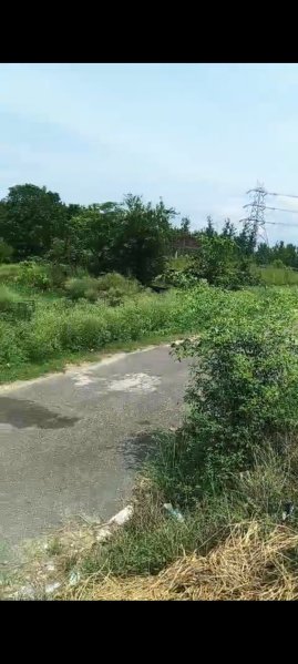  Residential Plot 7 Bigha for Sale in Delhi Roorkee Highway, Haridwar