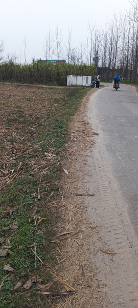  17 Bigha Agricultural/Farm Land for Sale in Laksar, Haridwar