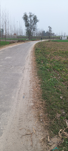  17 Bigha Agricultural/Farm Land for Sale in Laksar, Haridwar