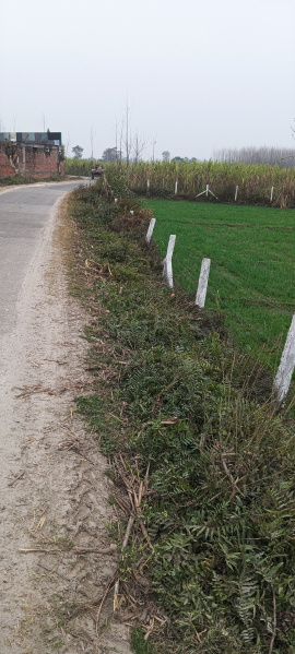  17 Bigha Agricultural/Farm Land for Sale in Laksar, Haridwar