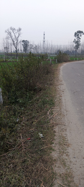  17 Bigha Agricultural/Farm Land for Sale in Laksar, Haridwar