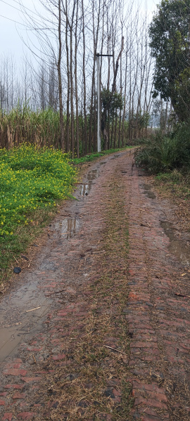  7 Bigha Agricultural/Farm Land for Sale in Laksar, Haridwar