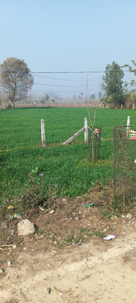  3 Bigha Agricultural/Farm Land for Sale in Delhi Roorkee Highway, Haridwar