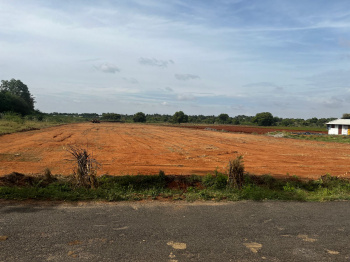  Agricultural Land for Sale in Avanashi, Tirupur