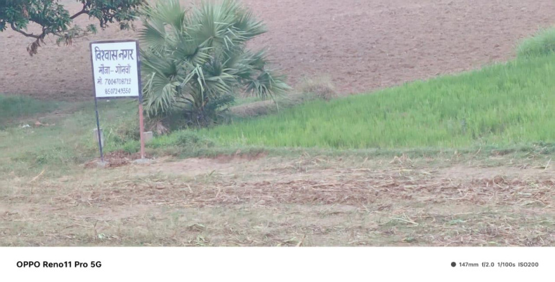  Residential Plot 1000 Sq.ft. for Sale in Bihta, Patna