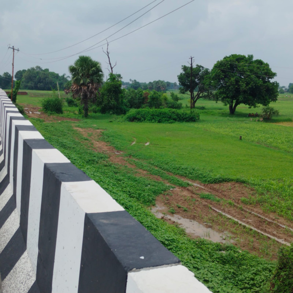  Commercial Land 1400 Sq.ft. for Sale in Bihta, Patna