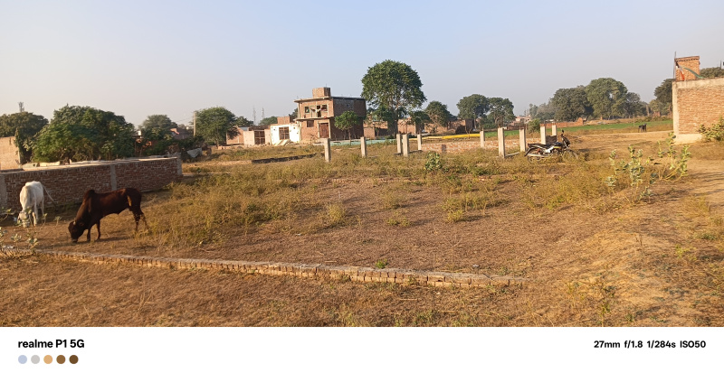 800 Sq. Yards Residential Plot for Sale in Bah, Agra