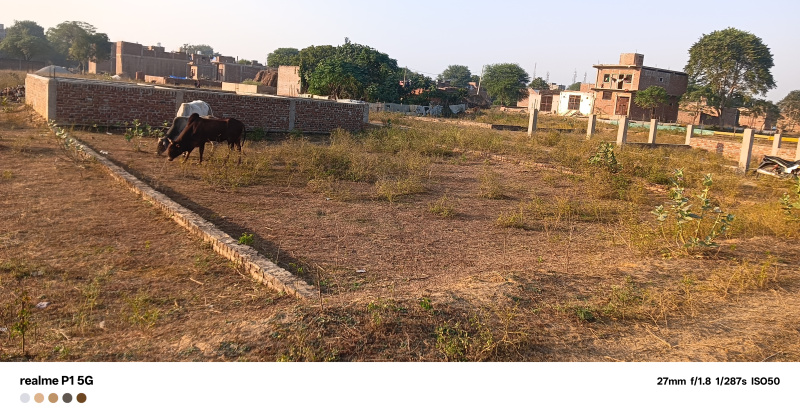  800 Sq. Yards Residential Plot for Sale in Bah, Agra