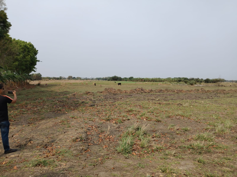 Additional image 3 of New Town, Kolkata