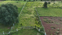  Agricultural Land for Sale in Anaimalai, Coimbatore