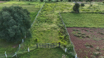  Agricultural Land for Sale in Anaimalai, Coimbatore