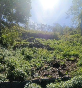  Residential Plot for Sale in Yercaud, Salem