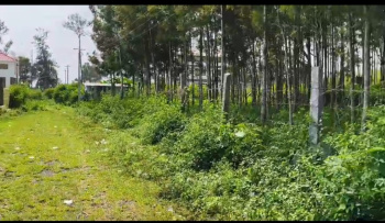  Residential Plot for Sale in Yercaud, Salem