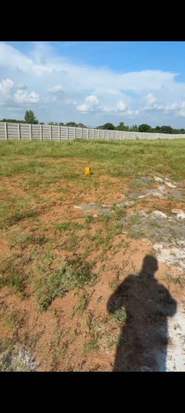  30 Guntha Residential Plot for Sale in Shadnagar, Hyderabad