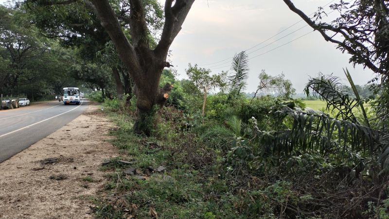  Agricultural Land 7 Acre for Sale in Penuballi, Khammam