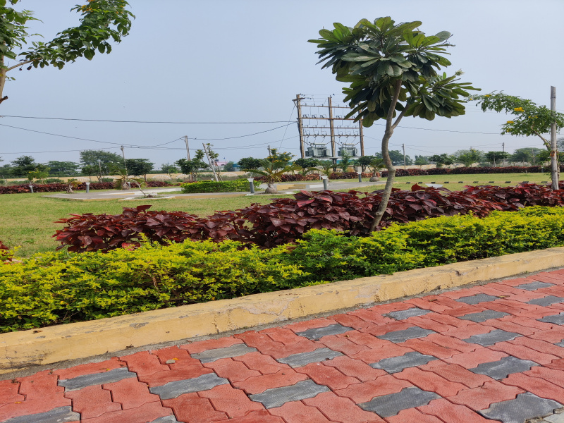  Residential Plot 752 Sq.ft. for Sale in Tigaria Badshah, Indore