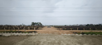  Residential Plot for Sale in Ringnodiya, Indore
