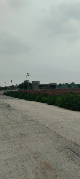  Residential Plot 100 Sq. Yards for Sale in Palwal, Faridabad