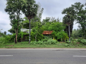  Agricultural Land for Sale in Sivagiri, Tirunelveli