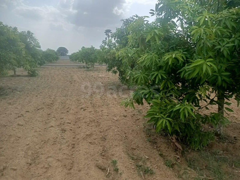  Residential Plot 394 Sq. Yards for Sale in Patancheru, Hyderabad