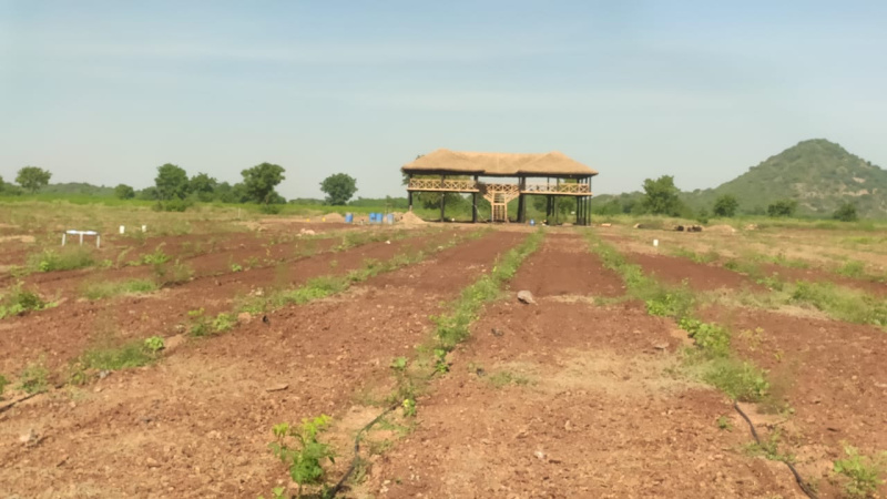  Agricultural Land 25 Cent for Sale in Narasaraopet, Guntur