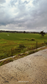  Residential Plot for Sale in Binjharpur, Jajpur